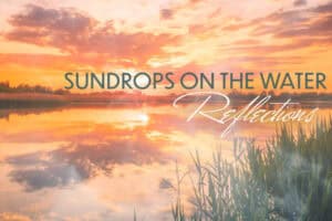 Sharp-Flatpickers_Sundrops-On-Water-Reflections